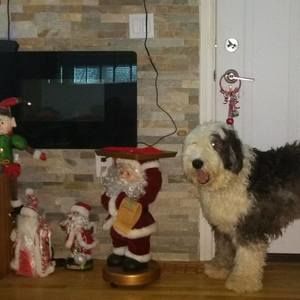 Meet your Posher, Lenora